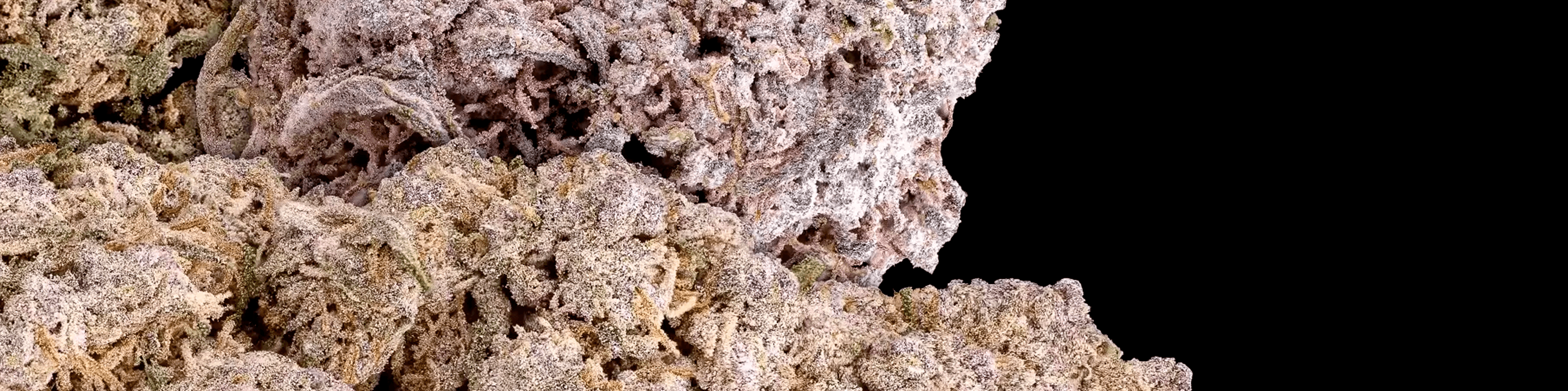 Close-up of frosty cannabis buds densely covered in white trichomes on a black background.