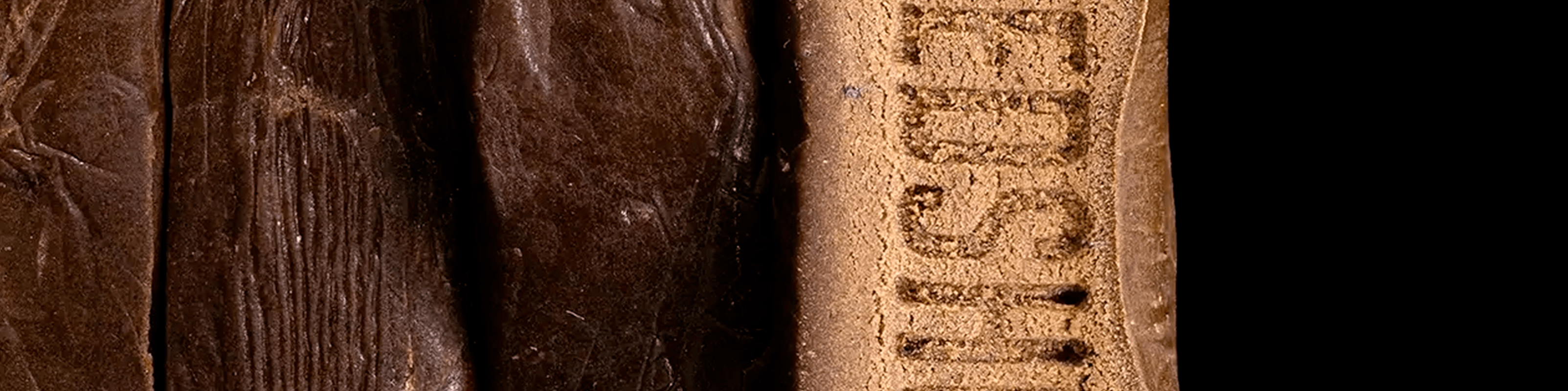 Close-up of compact cannabis buds rich in THCA, coated in visible crystals.