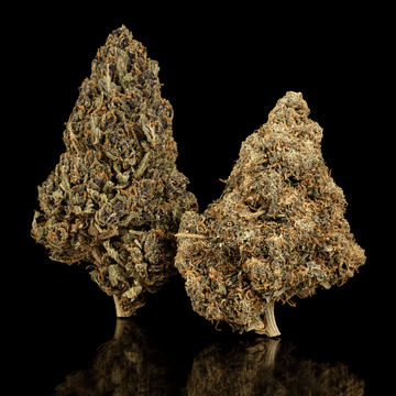 Cherry Poppers and Groovy Ganja CBD flower bundle