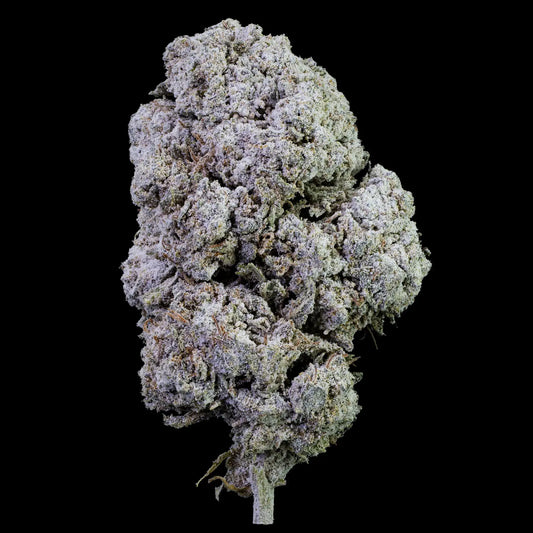 Gushers 23% THCA med kraftig trichome-dækning