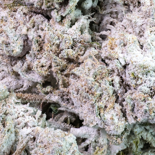 Jack Herer - 25% THCA 