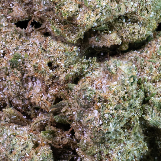 White Cali – 23 % THCA