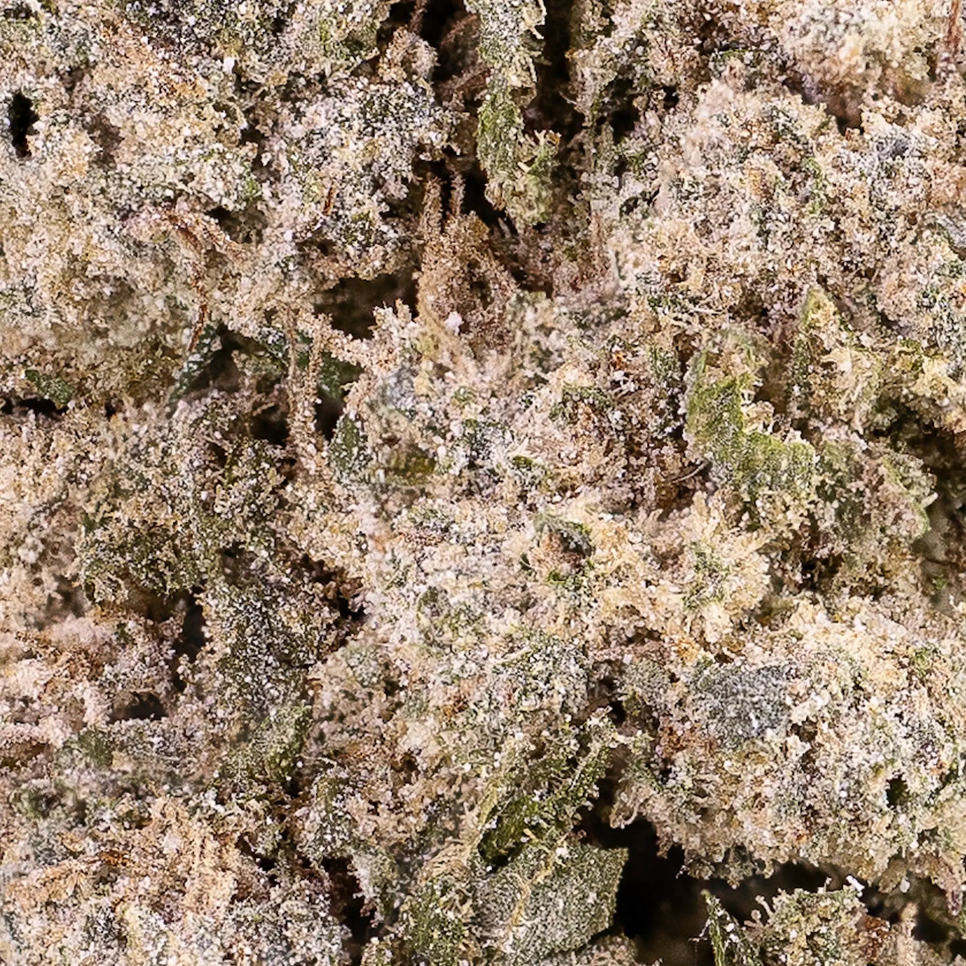 white cali weed strain closeup