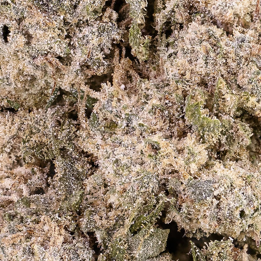 white cali weed strain closeup