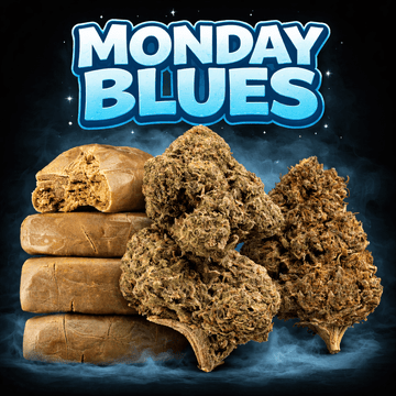 Monday Blues cannabis bundle with Bubble Hash, OG Kush CBD flower and Hippie Harvest CBD flower