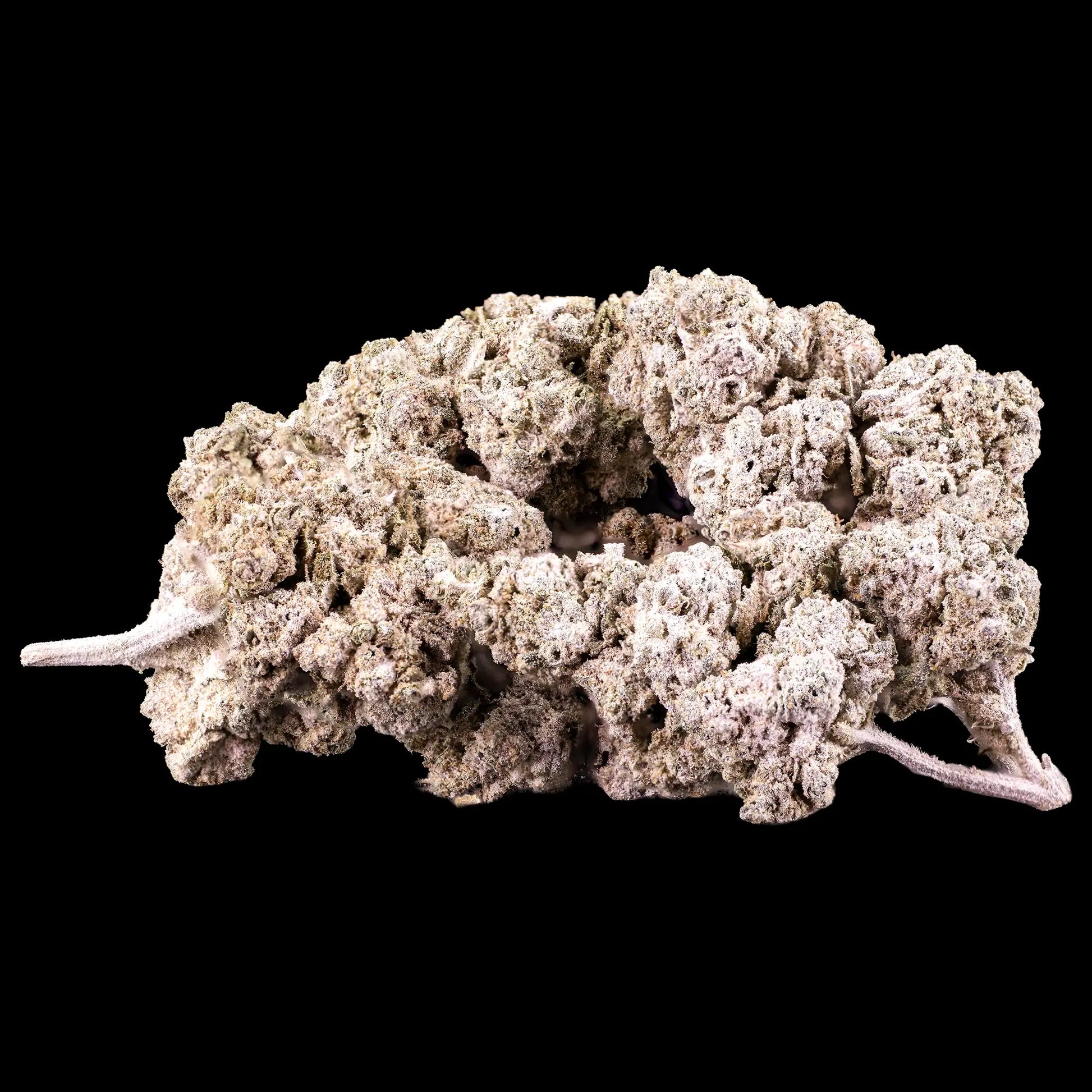 White Cali 10g THCA indoor flower buds