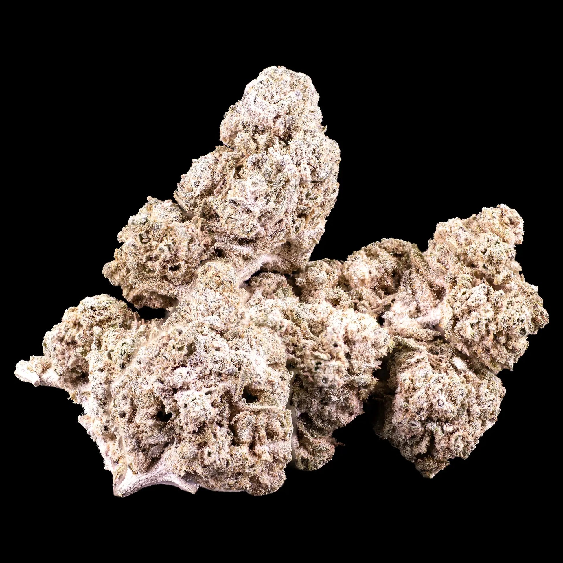 White Cali 5g THCA indoor flower buds