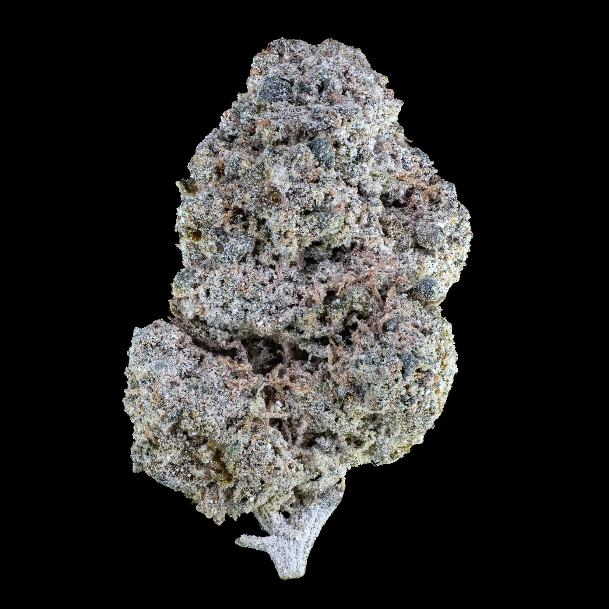 Cosmic Kush 23% THCA indoor cannabis flower with dense trichome-rich structure