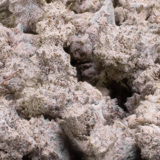 Pink Zkittlez 22% THCA i 25g popcorn-buds. Dyrket i spansk glasshouse. <0,2% THC, tredjepartstestet og 100% lovlig i EU.