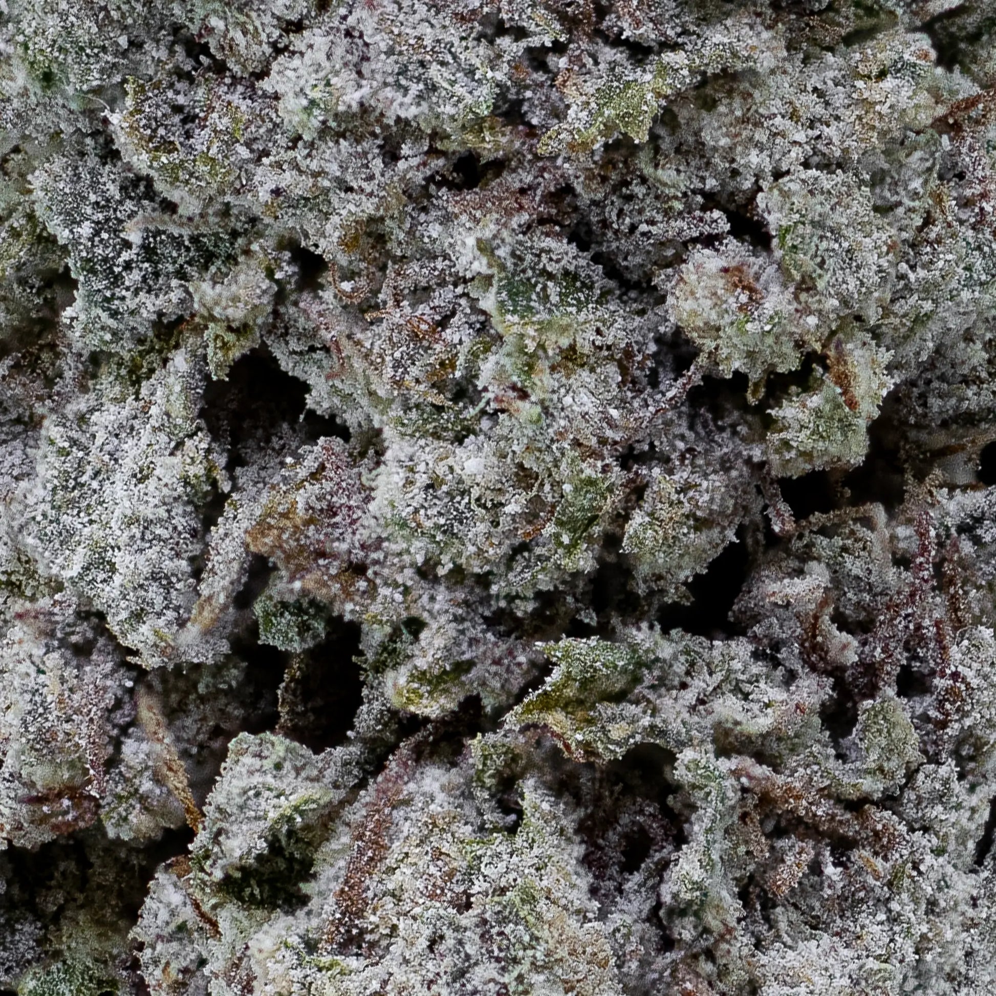 Snow Kush GH 23% THCA fra spansk glasshouse. Tætte topskud, frisk citrusprofil og <0,2% THC. 100% lovlig i EU. Hurtig & diskret levering.