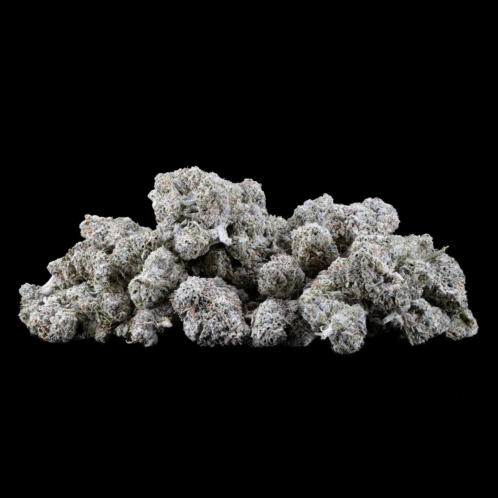 White Widow 22% THCA indoor popcorn buds with dense frosted trichome coverage