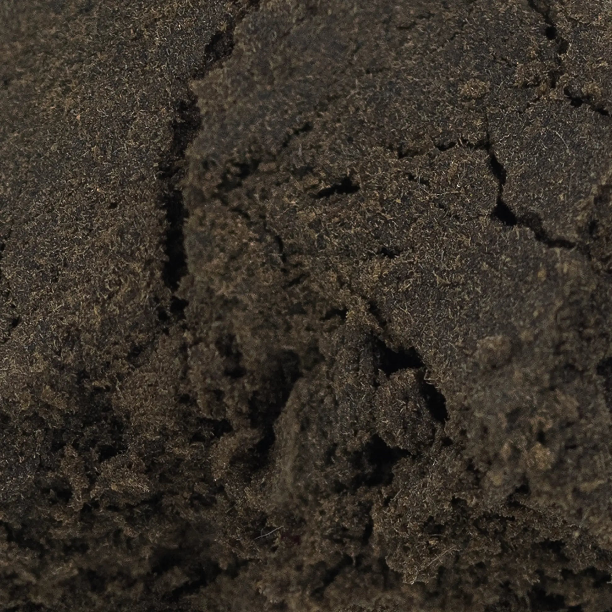 Close-up of Aekte Vare CBD hash showing dense structure and resin-rich surface
